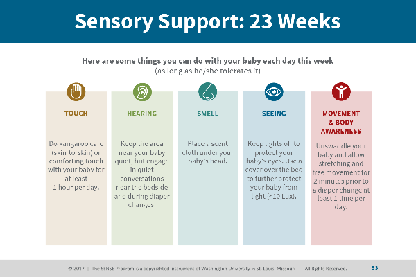 Sensory support activity options at 23 weeks