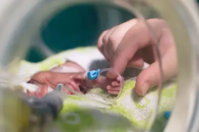Baby in a NICU incubator. An adult hand is reaching out to touch the baby.
